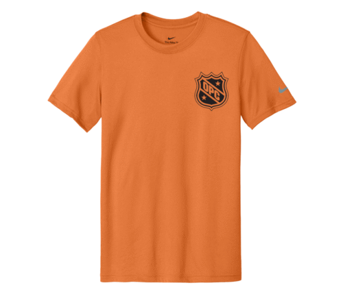 Nike DriFit Team T-shirt